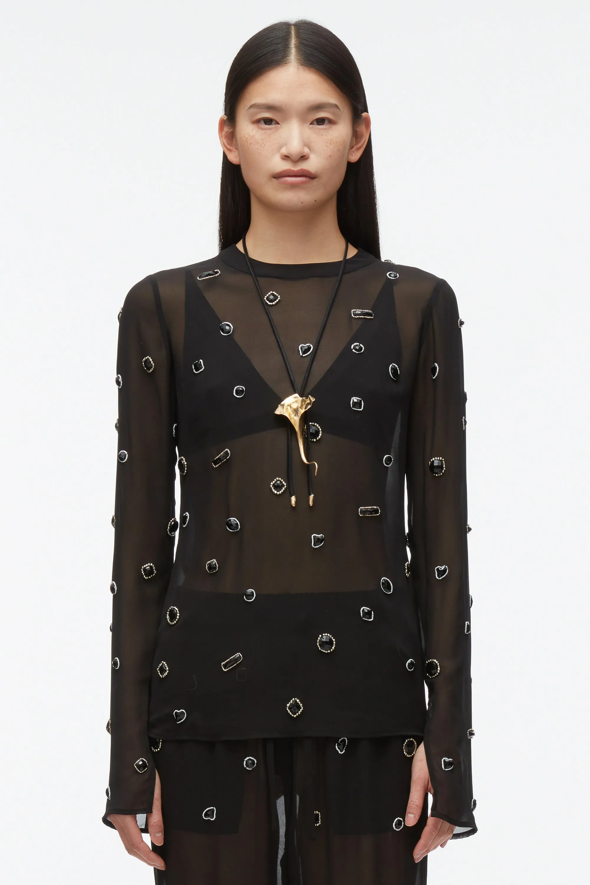 Halo Embroidered Chiffon Long Sleeve Top