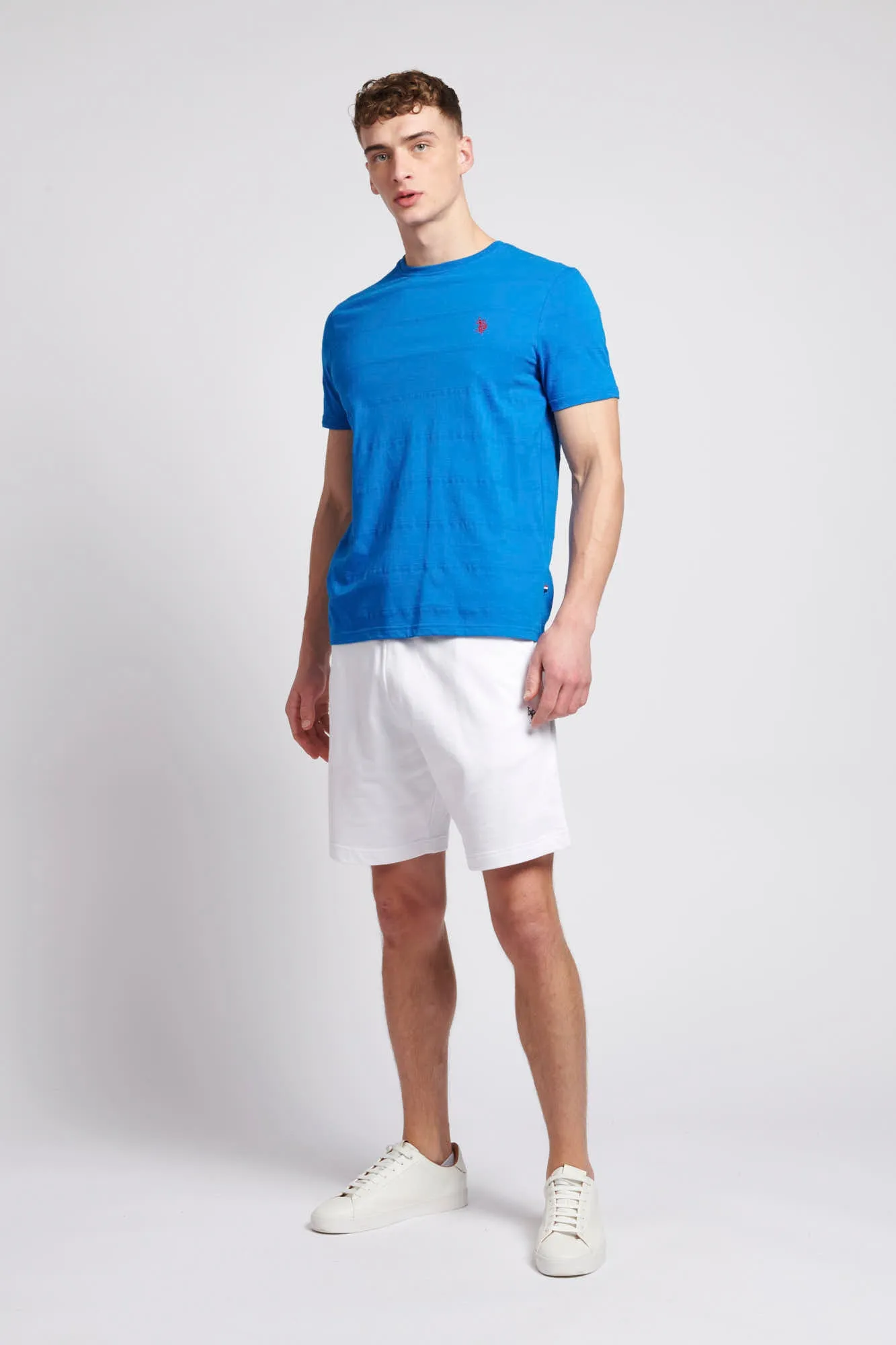 Mens Texture Stripe T-Shirt in Directoire Blue